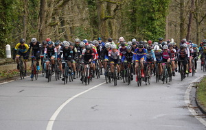 5c97514f166e1_DSC00735.JPG