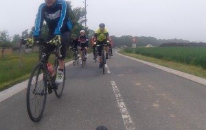 5ce19429567f4_Savigny20194.jpg