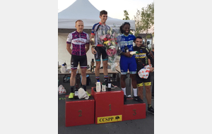 5d1dda9f554ca_SaintPierreduPerraypodium002.jpg