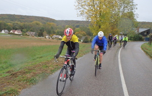 6019ad9dab83d_sortie20122010.JPG