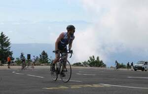 Robin, le Grand Colombier