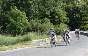 6283e72f1636d_IMG2618.JPG