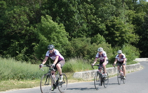6283e7317cd97_IMG2619.JPG